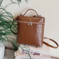 Brown crocodile pattern box bag with silver zippers and elegant top handle - Brown