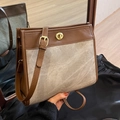 Grande borsa tote in pelle marrone e tela beige con fibbia metallica dorata - Bianco e Marrone
