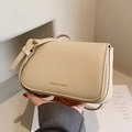 Chic beige crossbody square bag with gold hardware and adjustable strap for women - Khaki