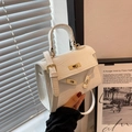 Mini bolso blanco con relieve de cocodrilo, herrajes dorados y asa superior - Blanco Roto