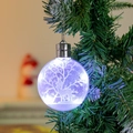 Primer plano de bola de Navidad transparente luminosa con grabado de reno - 10cm Plano / Estilo Alce