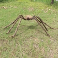 Realistic giant plush spider with red eyes for outdoor Halloween lawn decoration - L / Brown