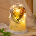 Preserved white rose in glass dome with warm LED lights and elegant white base gift - Ivory