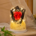 Rosa rossa stabilizzata in cupola di vetro con luci LED su base bianca - Rosso
