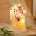 Pink preserved rose in glass dome with LED warm lights on a white base for home decor - Pink