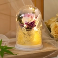 Preserved purple rose in glass dome with LED light string and white minimalist base - Purple