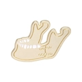 Spilla in smalto a forma di mascella e denti con placcatura in oro su sfondo bianco - Stile Struttura della Mandibola (QHXZ3035)
