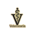 Golden and black enamel veterinary brooch pin featuring medical caduceus and V letter - Veterinary Style (QHXZ3433)
