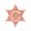 Distintivo da sceriffo a stella a sei punte oro rosa con incisione metallica dettagliata - Distintivo dello Sceriffo Oro Rosa (QHXZ3922)