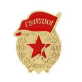 Soviet Guard medal with red enamel flag, gold wheat relief and hammer sickle star - Soviet Guard Commemorative Badge (QHXZ4095)