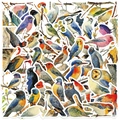 50 stuks aquarel vogel stickers voor gitaar en laptop waterdichte vinyl stickers - Aquarel Vogel Serie
