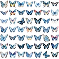 Detailansicht von 49 Vintage-Schmetterlingsaufklebern in Blau und bunten Aquarellfarben - Blauer Schmetterling