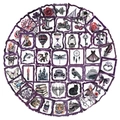 Set di 50 adesivi PET viola con illustrazioni di animali e oggetti ad acquerello - Confezione Adesivi PET Cornice Scura