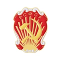 Dettaglio della spilla russa in smalto rosso con falce e martello dorati e RSFSR - Stile Scudo RSFSR (QHXZ4586)
