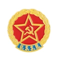 Spilla vintage URSS con stella rossa, falce e martello e spighe dorate - Stile Tondo Grano URSS (QHXZ4587)