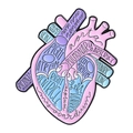 Pastellfarbene anatomische Herz-Emaille-Brosche mit medizinischen Fachbegriffen - Herz-Anatomie-Stil (QHXZ4559)