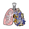 Creative medical lung enamel brooch featuring colorful butterflies SKU variant view - Butterfly Lungs (WY3495)