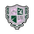 Rosa und grüner Emaille-Pin mit magischem Wappen, Krone und Zauberhut-Motiven - Akademie Schild Wappen (QHXZ5035)