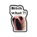 Lustige Chihuahua Meme Emaille-Anstecknadel mit Bitch what Text für Kleidung und Rucksäcke - Chihuahua Meme Stil (QHXZ5214)