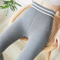 Hoch taillierte graue Thermo-Yoga-Leggings mit weißen Taillenstreifen für den Winter - Einheitsgröße / Mittelgrau
