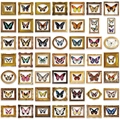 Set van vintage waterdichte vlinderstickers in decoratieve gouden frames en diverse stijlen - Vintage Vlinder Lijst Stickers