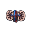 Spilla smaltata a forma di rene anatomico con vasi rossi e blu su base in lega - Stile Doppio Rene Realistico (XZ8593)