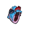 Spilla smaltata cuore umano con vivaci dettagli anatomici in rosso, blu e rosa - Stile Cuore Vasi Rosso Blu (XZ8594)