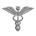 Silver caduceus brooch featuring sparkling rhinestones on wings and polished finish - Rhinestone Caduceus Silver Style (XZ9134)