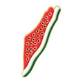 Pakistan Karte Anstecknadel im niedlichen Wassermelonen-Design mit goldenem Rand - Kartenumriss Stil (QHXZ5525)