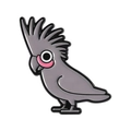 Cute grey cockatiel enamel pin badge with pink cheeks and detailed black outlines - Grey Pink Faced Cockatoo Style (QHXZ5605)