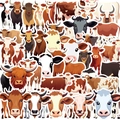 Pack of 50 cartoon cow graffiti stickers for decorating guitars and notebooks - Cartoon Cow Style (WES238)