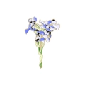 Macro detail of enamel iris flower brooch with deep blue petals and golden edges - Iris Style (XZ3260)