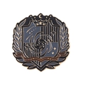 Academy style enamel crest brooch with golden crown and star in dark raven finish - Vortex Galaxy Crest (XZ6345)
