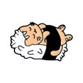 Cartoon orange cat sushi enamel pin with white rice and black seaweed detail - Supine Ginger Cat Sushi Style (xz4450)