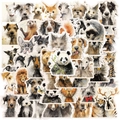 Pack de 50 autocollants d'animaux aquarelle pour décoration DIY ordinateur et guitare - Série d'Illustrations d'Animaux Ébouriffés (OPQ221)