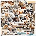 Set di 60 adesivi impermeabili con animali per laptop, chitarre e decorazioni per valigie - Stile Animale che fa Capolino (OPQ266)