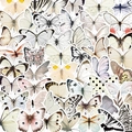 Set van 50 kleurrijke esthetische vlinderstickers voor DIY laptop en koffer decoratie - Wit