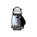 Divertido pin de gato blanco y negro con casco de seguridad y eslogan de moda - Uvxz097