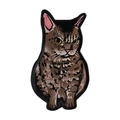 Lustiger Katzen-Anstecker aus Weißblech mit realistischem Comic-Design für Taschen - Ernste Getigerte Katze Stil(UVXZ161)