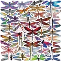 Set di 53 adesivi colorati a forma di libellula per decorazione di laptop e chitarre - Collezione Libellula Multimotivo