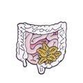 Enamel trust your gut brooch featuring anatomical intestine design and yellow flowers - Intestine Floral Style (Trust Your Gut)