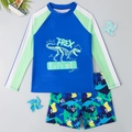 Boy's two-piece swimsuit with long sleeves, cartoon dinosaur print, and quick-dry fabric - 8Y / Blue Color Block