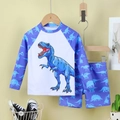Two-piece boys long sleeve swimsuit with blue dinosaur prints on a white and navy base - Blue