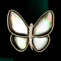 Eleganter Schmetterling Brosche aus natürlicher Muschel mit funkelndem Zirkon - Graue Muschel Schmetterling Stil (TB804)
