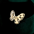 Elegante vlinderbroche met zirkonia en opaalstenen op een groene fluwelen achtergrond - Holle Zirconia Kattenoog Stijl (TD112)