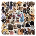 Macro shot of assorted funny dog stickers with Shiba Inu and Golden Retriever designs - Funny Dog Meme Style (TT140)