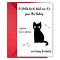 Humorous birthday card set with hand-drawn black cat illustration and red envelope - Humorous Black Cat Birthday Card (T020400905)