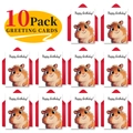Detail von 10er Pack Geburtstagskarten mit Cartoon-Hamstern und roten Umschlägen - Cartoon Hamster Stil (T020401109)