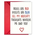 Nahaufnahme der Valentinskarte mit rotem Umschlag und romantischem 'Roses are red' Gedicht - Englisch-Rosen Sind Rot (T020401164)