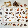 56Pcs realistic forest animal PET stickers set including elephant and fox for DIY crafts - Realistic Forest Animal Style (T01042988)